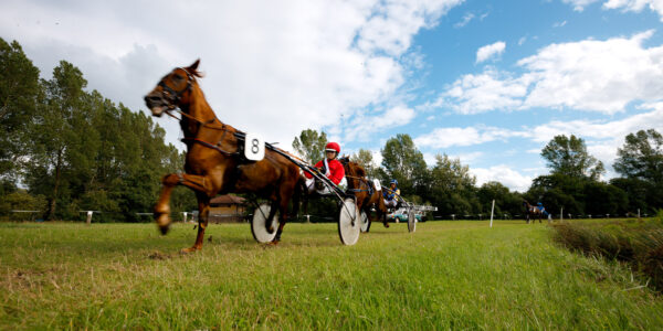 Hooksieler Renntage 2026 – Termine offiziell bestätigt / Vorverkauf für alle drei Renntage gestartet