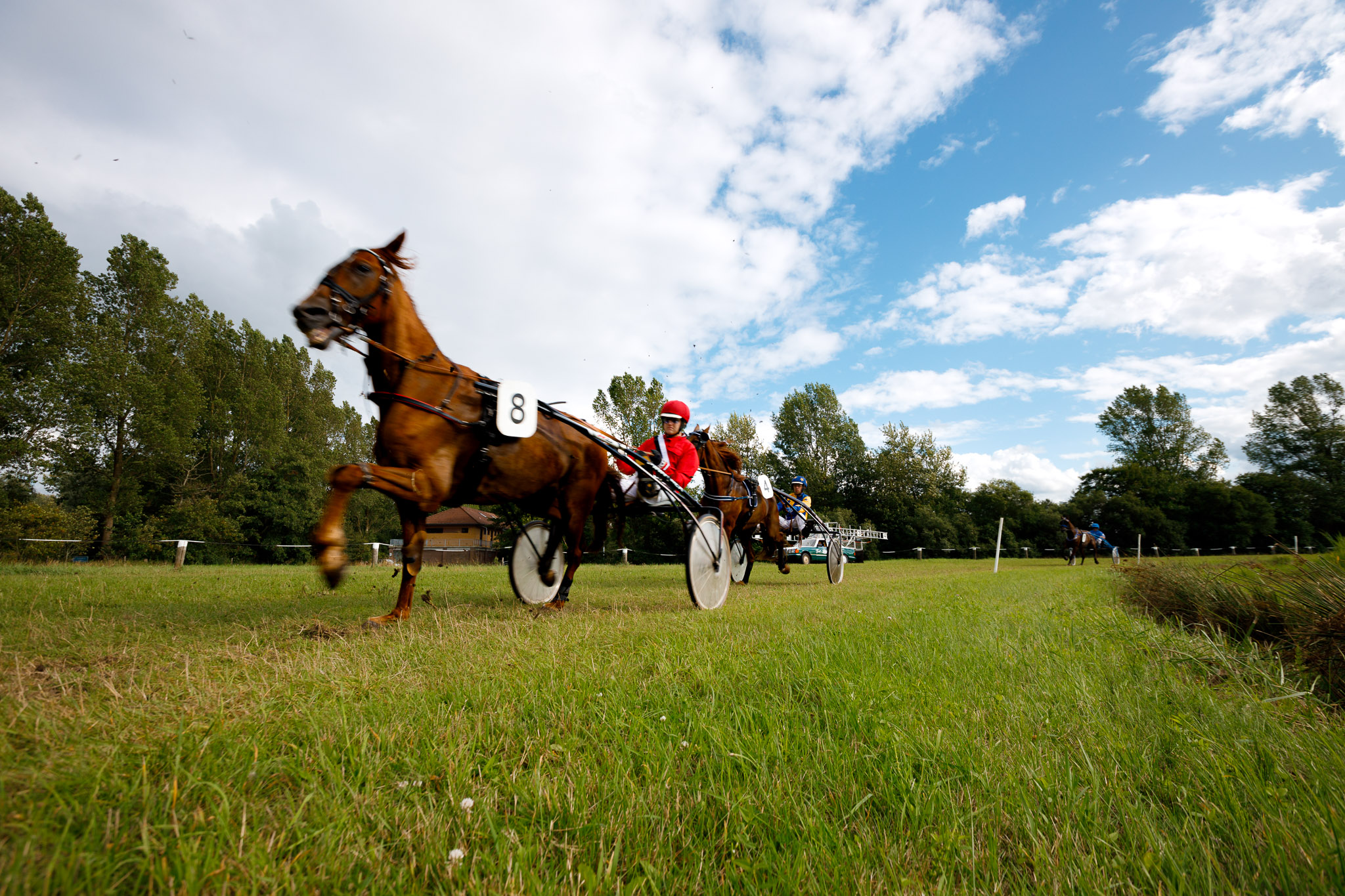 Hooksieler Renntage 2026 – Termine offiziell bestätigt / Vorverkauf für alle drei Renntage gestartet
